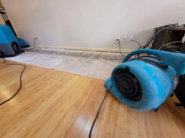 Reliable Basement Flood Cleanup contractor in Salisbury, MD by Hirex Water Damage