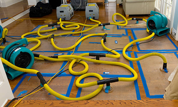 Professional Basement Flood Cleanup technician working in Salisbury, MD